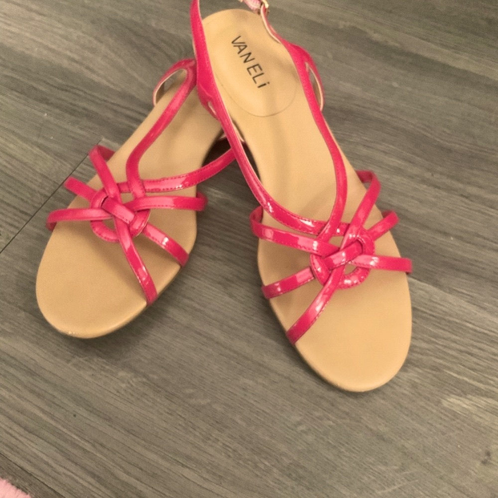 Vaneli Fuchsia Patent Leather Shoes